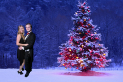 greenscreen-kerstdiner-2015-118