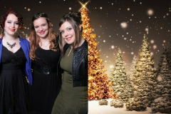 greenscreen-kerstdiner-2015-151