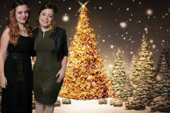 greenscreen-kerstdiner-2015-163