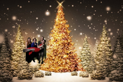 greenscreen-kerstdiner-2015-231