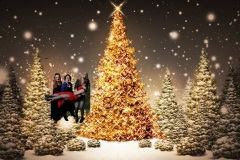 greenscreen-kerstdiner-2015-235