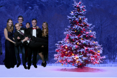 greenscreen-kerstdiner-2015-298