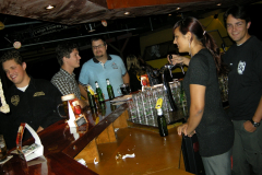 jv-2010-049