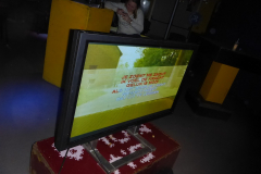 karaokesoos-8-1-15-030